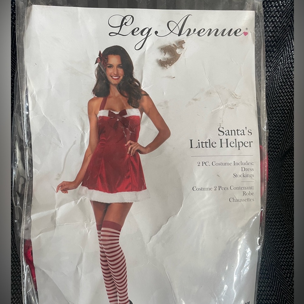 Santa's little helper , Costume